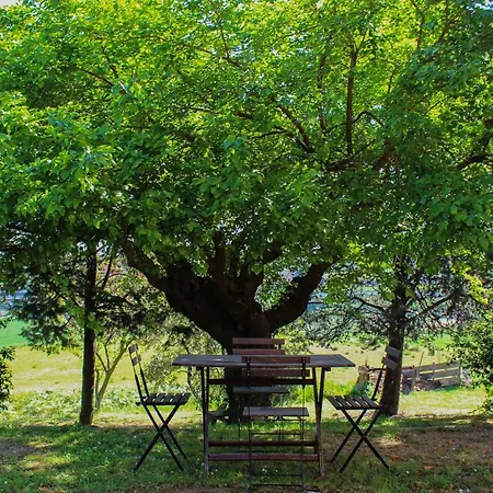 Oltre Il Giardino アパート *