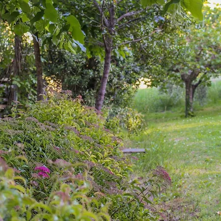 Oltre Il Giardino *