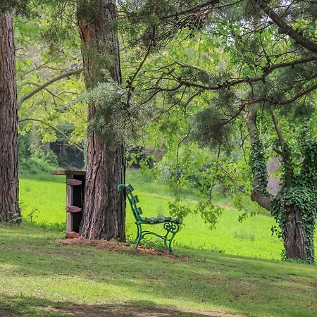 Oltre Il Giardino *