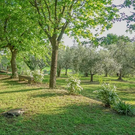 Oltre Il Giardino