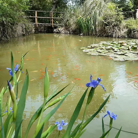 Oltre Il Giardino Senigallia